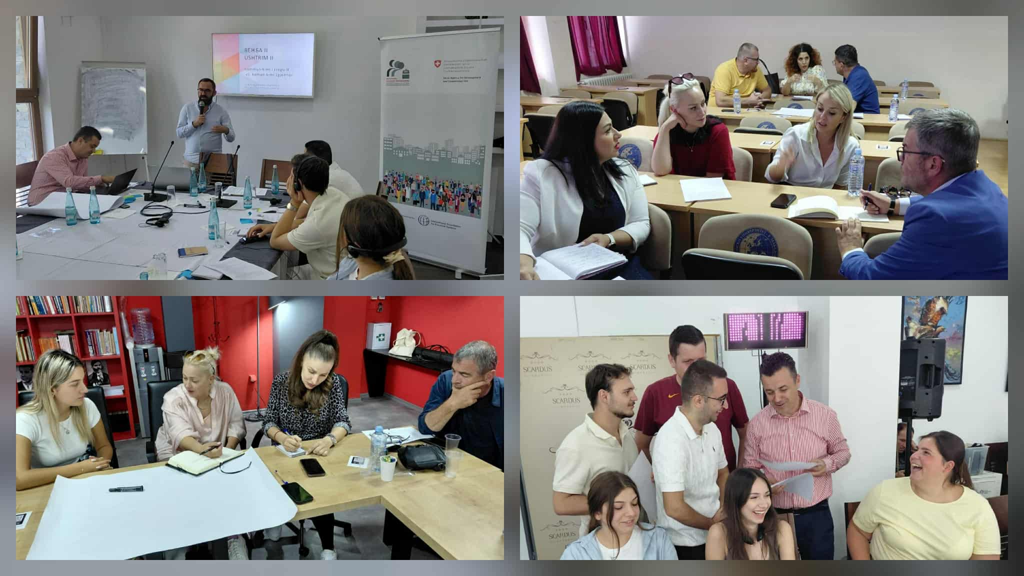 Работилници за зајакнување на капацитетите на политичките партии и коалиции